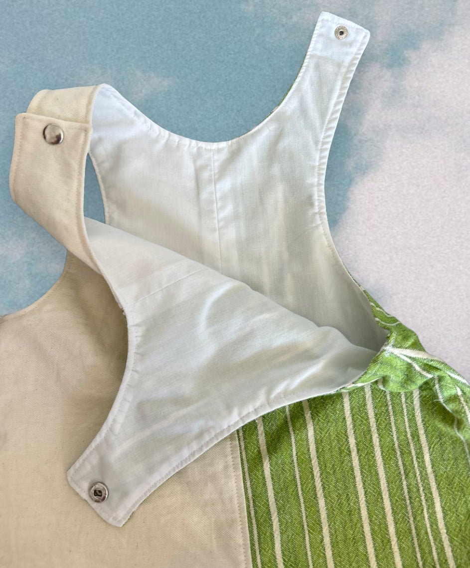 Frog Overalls (1 / 12-18 months)